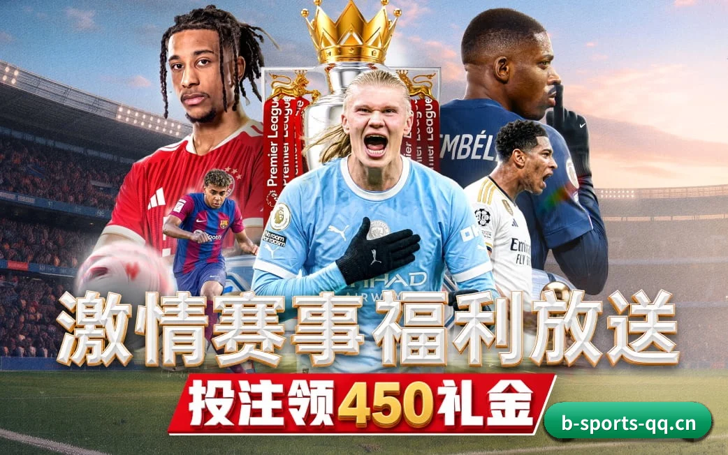 b体育 APP 界面