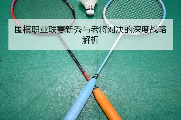 围棋职业联赛新秀与老将对决的深度战略解析